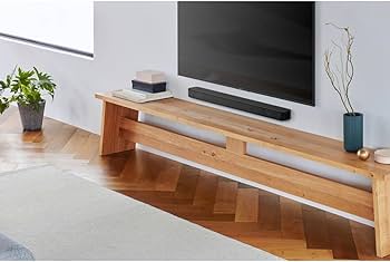 Amazon.com: Sony S100F 2.0ch Soundbar with Bass Reflex